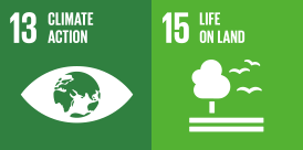 13. CLIMATE ACTION 15.LIFE ON LAND